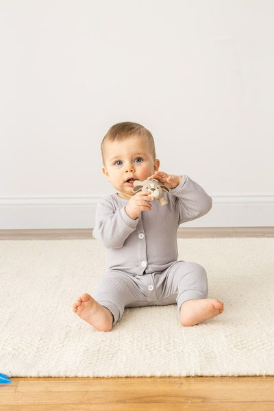 Itzy Ritzy - 小狗固齒器 Baby Molar Teether (Puppy)