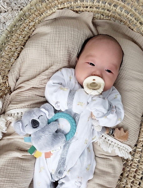 Itzy Ritzy - 樹熊固齒環玩具 Plush Rattle with Teether (Koala)