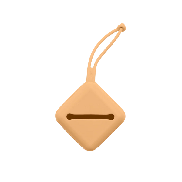 Bibs - 奶嘴盒 Pacifier Case Pumpkin