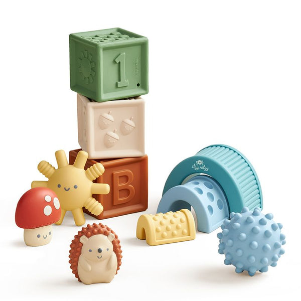 Itzy Ritzy - 觸感玩具套裝 Sensory Blocks Set