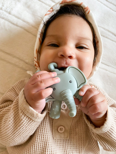 Itzy Ritzy - 大象固齒器 Baby Molar Teether (Elephant)