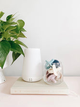 將圖片載入圖庫檢視器 Itzy Ritzy - 安撫奶嘴 Soother Pacifier Set (Orchid + Lilac Bows)
